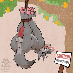 4_toes animal_genitalia animal_penis anthro anus black_nose butt canine_genitalia canine_penis erection fangs feet fur genitals grey_body grey_fur hindpaw knot knotted_penis male nude nude_anthro nude_male pawpads paws penis pink_pawpads plant sign snare_trap solo suspension tail teeth toes tongue tongue_out trapped tree jackaloo mythology cooper_estevez canid canine mammal mythological_canine mythological_creature werecanid werecanine werecreature werewolf 1:1 2025 hi_res