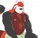ailurid anthro belly biceps big_muscles black_body black_fur black_nose body_hair bottomwear brown_body brown_fur clothed clothing fur happy_trail male mammal muscular muscular_anthro muscular_male navel nipples pecs rain-yatsu raised_tail red_body red_fur red_panda shorts simple_background solo tail topless white_background white_body white_fur yellow_eyes