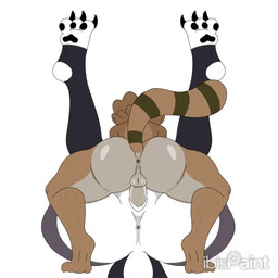 anthro anthro_penetrated anus balls big_butt butt clothing duo feet female female_penetrated genitals legwear male male/female male_penetrating male_penetrating_female penetration penile penile_penetration penis penis_in_vagina sex simple_background small_balls small_butt tail top_hole vaginal vaginal_penetration white_background x_anus cartoon_network hellaverse helluva_boss regular_show loona_(helluva_boss) rigby_(regular_show) canid canine canis mammal procyonid raccoon wolf 1:1 animated