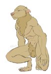 animal_genitalia anthro balls blue_eyes brown_body brown_fur claws digitigrade ears_back ears_down finger_claws fully_sheathed fur genitals male muscular muscular_anthro muscular_male nude_anthro nude_male paws pivoted_ears sheath simple_background solo toe_claws white_background katthekitkat mythology canid canine canis mammal mythological_canine mythological_creature werecanid werecanine werecreature werewolf wolf hi_res