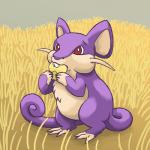 ambiguous_gender corn eating feral field food outside plant red_eyes solo standing whiskers wooperworks nintendo pokemon generation_1_pokemon mammal pokemon_(species) rattata rodent 1:1