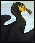 ambiguous_gender beak black_body black_border black_feathers black_wings blue_eyes border closed_smile feathered_wings feathers feral grey_beak looking_back mouth_closed outside sea smile solo water wings lyosha avian bird cormorant 2009 colored digital_drawing_(artwork) digital_media_(artwork) english_description shaded signature