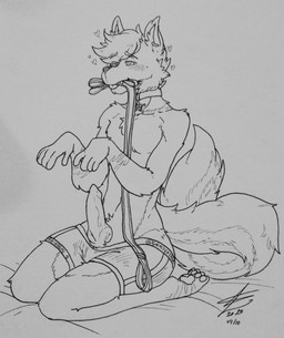 4_toes 5_fingers animal_genitalia animal_penis anthro blush boxer_briefs canine_genitalia canine_penis clothing collar erection feet fingers fur genitals hair heart_symbol kneeling knot leash leash_in_mouth leather male object_in_mouth paws penis solo toes underwear galacticadeer astrorenard canid canine canis domestic_dog fox mammal 2020 dated hi_res monochrome signature