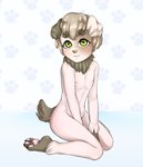 abstract_background anthro big_eyes blush brown_hair brown_nose butt eyebrows femboy fluffy fluffy_ears fluffy_tail fur green_eyes hair light_body light_fur male nails neck_tuft nipples pawpads paws pink_butt pink_nipples pink_pawpads simple_background sitting solo tail thick_eyebrows tuft white_body white_fur young young_anthro iijackie3678ii canid canine canis domestic_dog mammal colored digital_drawing_(artwork) digital_media_(artwork) hi_res