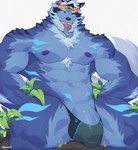 abs anthro barely_contained barely_contained_penis clothing flaccid genitals male muscular muscular_anthro muscular_male nipples pecs penis solo thong underwear mikauzato lifewonders tokyo_afterschool_summoners tindalos_(tas) canid canine canis mammal wolf hi_res