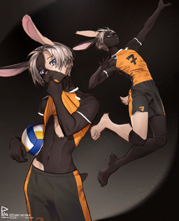 anthro belly bottomwear clothed clothing clothing_lift jumping male navel paws shirt shirt_lift shorts smile smiling_at_viewer smirk smirking_at_viewer solo sport topwear two_color_fur volleyball volleyball_uniform pita_potato kaito hybrid lagomorph leporid mammal rabbit absurd_res hi_res huge_filesize
