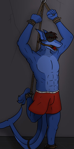 3_toes anthro arms_above_head ball_gag barefoot bdsm blindfold bondage bottomwear bound captured clothing cuff_(restraint) dungeon feet gag leather leather_cuffs male plantigrade restrained restraints rope solo submissive submissive_male toes pawerup nate_(pawerup) aquatic fish shark hi_res