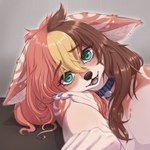 anthro bell bell_collar blonde_hair blue_collar brown_hair collar eyebrow_through_hair eyebrows eyelashes female green_eyes hair looking_at_viewer multicolored_hair pink_hair solo text text_on_collar translucent translucent_hair onomari felid feline mammal 1:1 digital_media_(artwork) hi_res shaded