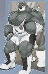 anthro athletic_wear bodily_fluids boots bulge clothing footwear looking_at_viewer male mirror muscular muscular_anthro muscular_male pecs shoes smile solo standing sweat tight_clothing wrestling_singlet kazushi hound_(character) canid canine canis domestic_dog great_dane mammal mastiff molosser hi_res