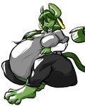 anthro belly big_belly big_breasts bottomwear breasts clothed clothing ear_piercing ear_ring female fur green_body green_fur green_hair hair hand_on_belly huge_belly orange_eyes pants piercing pregnant pregnant_anthro pregnant_female ring_piercing shirt solo thick_thighs topwear behemuffin cecilia_(deonwolf) domestic_cat felid feline felis mammal 2010 digital_media_(artwork) hi_res