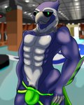 abs anthro bulge clothing clothing_pull genitals jockstrap looking_at_viewer male mascot muscular pecs penis pulling_jockstrap solo underwear underwear_pull thebigblackcod nfl seattle_seahawks blitz_the_seahawk accipitrid accipitriform avian bird seahawk 4:5 hi_res