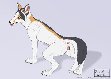 anatomically_correct anatomically_correct_anus anatomically_correct_genitalia anatomically_correct_vulva animal_genitalia animal_vulva anthro anus black_nose blue_eyes butt canine_genitalia canine_vulva claws female feral fur genitals in_heat inner_ear_fluff monotone_anus monotone_genitals multicolored_body multicolored_fur pink_anus pink_vulva plump_labia presenting presenting_anus presenting_hindquarters presenting_vulva raised_tail semi-anthro simple_background solo spread_legs spreading tail text tongue tongue_out tuft vulva white_background white_body white_fur aureskarispriomnis pyrsyna_(aureskarispriomnis) canid canine canis fox mammal marble_fox red_fox true_fox 2022 dated digital_media_(artwork) english_text url