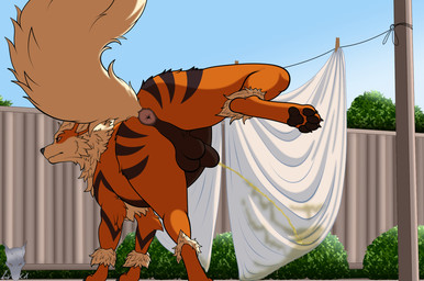 animal_genitalia anus backsack balls bodily_fluids butt canine_genitalia claws digitigrade fangs feet feral feral_peeing finger_claws fully_sheathed fur genital_fluids genitals hiked_leg male male_peeing outside pawpads paws peeing peeing_outside quadruped raised_leg raised_tail sheath solo spread_legs spreading tail teeth toe_claws toes urine urine_stream lycadio nintendo pokemon arcanine canid canine generation_1_pokemon mammal pokemon_(species) digital_media_(artwork) hi_res