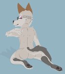 anthro black_pawpads brown_ears butt eyewear fur glasses grey_body grey_fur grey_paws looking_at_viewer looking_back looking_back_at_viewer male pawpads paws purple_eyes rear_view shy solo surprised_expression touching_back white_body white_fur ricthecusco canid canine canis mammal wolf