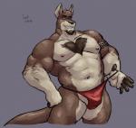 anthro athletic biceps big_muscles clothing facial_hair fur grey_background hair male musclegut muscular muscular_anthro muscular_male nipples pecs simple_background smile solo teeth thong underwear captaingerbear luxordtimet ozzy_fitch kangaroo macropod mammal marsupial hi_res