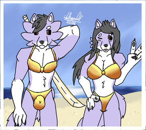 4_fingers anthro athletic athletic_anthro athletic_female athletic_male beach belly belly_tuft bikini biped black_hair black_nose black_pawpads black_sclera blep blue_sky blush blush_lines border bulge clothing countershading detailed_bulge duo female female_anthro fingers fur gesture gloves_(marking) gold_bikini hair hand_behind_back hand_gesture hand_on_hip katana looking_at_viewer male male_anthro markings matching_outfits melee_weapon one_eye_closed outside pawpads pink_tongue purple_body sand sky swimwear sword tail tongue tongue_out tuft two-piece_swimsuit v_sign water weapon weapon_behind_back white_belly white_border white_inner_ear wink winking_at_viewer yellow_eyes iivoltagewolf golden_week fulgari_(iivoltagewolf) canid canine canis mammal wolf 2026 digital_media_(artwork) signature mother_(lore) mother_and_child_(lore) mother_and_son_(lore) parent_(lore) parent_and_child_(lore) parent_and_son_(lore) son_(lore)
