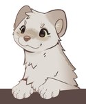 ambiguous_gender chest_tuft fur grey_body grey_fur head_tuft inner_ear_fluff simple_background smile solo tuft whiskers white_background white_body white_fur white_inner_ear_fluff feve mammal mustelid musteline stoat true_musteline weasel 2025 digital_drawing_(artwork) digital_media_(artwork) hi_res