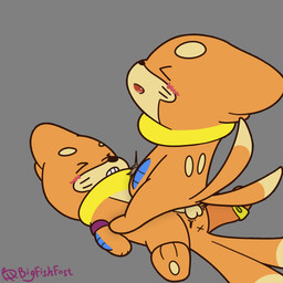 anal anal_penetration balls cowgirl_position duo feral from_front_position genitals male male/male masturbating_while_penetrated masturbation on_bottom on_top penetration penis sex throbbing throbbing_balls throbbing_penis bigfishfost nintendo pokemon the_not-to-scale_peninsula abuihiroshi_(ntsp) bigfishfost_(ntsp) buizel generation_4_pokemon pokemon_(species) 1:1 hi_res