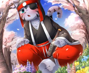alcohol anthro asian_clothing barefoot beverage black_clothing black_headdress black_kimono blush bottomwear clothing east_asian_clothing eye_patch eyewear fangs feet fur grass grey_body grey_fur japanese_clothing kimono male open_mouth outside pants plant red_bottomwear red_clothing red_pants sake_bottle sake_dish sitting sky solo tail teeth tongue tree young young_anthro young_male kemokemo02091 bemani konami pop'n_music pop'n_music_9 kagetora_(pop'n_music) felid mammal pantherine 2026 absurd_res hi_res japanese_description