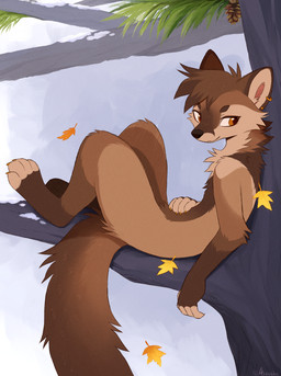 4_toes 5_fingers ambiguous_gender anthro autumn autumn_leaves biped black_nose black_pawpads branch brown_body brown_ears brown_feet brown_fur brown_hair brown_hands brown_paws brown_tail brown_tuft chest_tuft claws day digitigrade ear_piercing ear_ring evergreen_tree eyebrows_(marking) eyelashes feet finger_claws fingerless_(marking) fingers fur furry_tail hair hand_on_belly inner_ear_fluff leaf long_tail looking_away lying lying_on_branch monotone_feet neck_tuft nude nude_ambiguous nude_anthro on_back orange_claws orange_eyes orange_piercing outside pawpads paws piercing pine_tree pinecone plant ring_piercing semi-anthro short_hair side_view simple_background smile snow solo tail toe_claws toeless_(marking) toes tree tuft aseethe dakota_sekoja american_marten european_pine_marten gulonine hybrid mammal marten mustelid musteline 2025 colored_sketch digital_drawing_(artwork) digital_media_(artwork) hi_res shaded signature sketch smaller_version_at_source nonbinary_(lore)