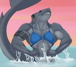 anthro bikini blue_eyes breasts clothing dorsal_fin female fin flexing gills grey_body grey_skin long_tail muscular muscular_anthro muscular_female non-mammal_breasts partially_submerged pecs pecs_with_breasts sharp_teeth sku smile solo standing_in_water sunset swimwear tail tail_fin tattoo teeth two-piece_swimsuit f_draws selene_(f_draws) fish marine shark hi_res