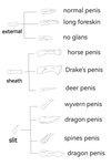 anatomy genitals penis text bluepredator mythology dragon human mammal mythological_creature mythological_scalie scalie 2:3 absurd_res english_text hi_res monochrome