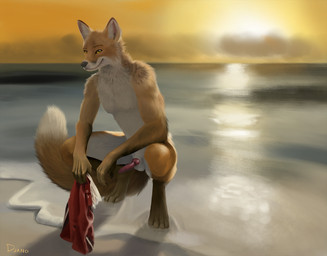 animal_genitalia animal_penis anthro balls beach clothing crouching erection fluffy fluffy_tail genitals holding_clothing holding_object knot looking_at_viewer male nipples nude penis public public_erection public_nudity sea seaside skinny_dipping small_penis smile solo sunset swimwear tail water djano canid canine fox mammal hi_res