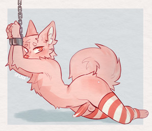 anthro balls bdsm blush bodily_fluids bondage bound butt clothing cuff_(restraint) erection femboy fur genital_fluids genitals legwear looking_at_viewer male nude penis pink_body pink_fur restraints shackles simple_background solo stockings tail thigh_highs sflnx canid canine canis mammal digital_media_(artwork) hi_res