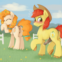 animal_genitalia animal_penis animal_vulva anus butt clothing cowboy_hat cutie_mark detailed_background duo equine_genitalia equine_penis equine_vulva eyelashes female feral genitals hair hat headgear headwear male orange_hair outside penis pupils quadruped red_hair smile tail vulva yellow_body dosh friendship_is_magic hasbro my_little_pony bright_mac_(mlp) pear_butter_(mlp) equid equine horse mammal pony 1:1 absurd_res comic hi_res