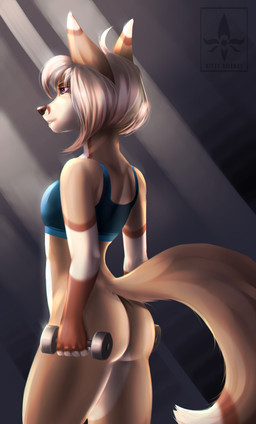 5_fingers anthro athletic athletic_anthro athletic_female bottomless bra brown_nose butt clothed clothing exercise female fingers fluffy fluffy_tail half-closed_eyes narrowed_eyes perky_butt purple_eyes solo sports_bra tail underwear workout katerezonate canid canine fox mammal absurd_res hi_res