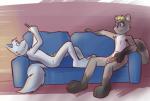 anthro blue_eyes casual_chastity cellphone chastity_cage chastity_cage_only chastity_device chastity_device_only duo electronics genitals lock male mutual_chastity nude padlock penis phone sitting smile secretkitsune pinky secretkitsune_(character) canid canine fox mammal procyonid raccoon 2016