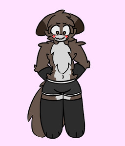 anthro blush bottomwear clothing dolphin_shorts ears_down femboy hotpants legwear male pivoted_ears shorts solo standing tail tail_motion tailwag thigh_highs underwear gokkin kiro(wolf) animated hi_res