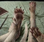 5_fingers 5_toes ambiguous_gender anthro asymmetrical_transformation bed book claws detailed_background digitigrade feet finger_claws fingers first_person_view foot_focus foot_grab foot_shot foot_transformation fur fur_growth furniture growth handpaw human_to_feral magic_wand nails on_bed pawpads paws realistic sitting sitting_on_bed solo species_transformation tail tail_growth toe_claws toes transformation transformation_pov wand white_body white_fur white_tail whiteflamek mythology arctic_wolf canid canine canis mammal mythological_canine mythological_creature werecanid werecanine werecreature werewolf wolf 2014 absurd_res detailed hi_res