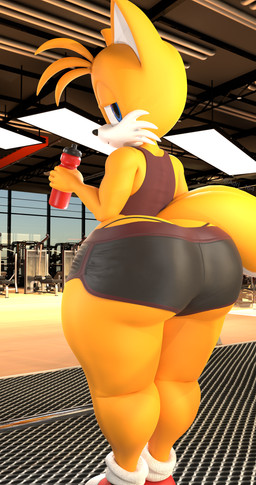 anthro athletic_wear bedroom_eyes big_butt bottle bottomwear butt clothed clothed_anthro clothed_male clothing container detailed_background femboy gym gym_bottomwear gym_shorts huge_butt looking_at_viewer looking_back looking_back_at_viewer male male_anthro narrowed_eyes seductive shorts smile smiling_at_viewer solo standing thick_thighs thong underwear water_bottle adri164 sega sonic_the_hedgehog_(series) miles_prower canid canine fox mammal red_fox true_fox 2024 3d_(artwork) absurd_res digital_media_(artwork) hi_res