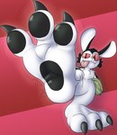 3_toes anthro barefoot black_body black_fur danthehekinbnuy_(artist) fangs feet fluffy fluffy_chest food foot_focus foot_growth fruit fur holding_food holding_fruit holding_object male male/male multicolored_body multicolored_fur paw_growth paws plant solo squash_(fruit) teeth toes two_tone_body two_tone_fur bunnicula_(series) bunnicula lagomorph leporid mammal rabbit vampire hi_res