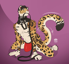 anthro big_bulge bulge clothing collar jockstrap leash male simple_background solo tail tail_motion underwear diddydoo kembajaguar felid jaguar mammal pantherine hi_res