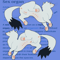 5_fingers 5_toes 8_nipples animal_genitalia anus backsack balls black_body black_fur blue_background blush bold_text butt clitoris dipstick_tail duo feet female feral fingers fur genitals italic_text lipsticking looking_at_viewer looking_back looking_back_at_viewer male markings multi_nipple nipples pawpads penis pink_anus pink_nose pink_pawpads pink_penis pink_vulva presenting presenting_anus presenting_hindquarters presenting_vulva raised_hindleg round_ears sheath simple_background smile smiling_at_viewer tail tail_markings text toes vulva website_background whiskers white_body white_fur x_anus ballpitweazel wikipedia mammal mustelid musteline stoat true_musteline weasel 2026 digital_drawing_(artwork) digital_media_(artwork) english_text