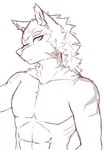 abs anthro biped clothed clothing ears_up eyebrows facial_scar fur inner_ear_fluff looking_at_viewer male mouth_closed muscular pupils ribs scar scar_on_shoulder simple_background slit_pupils solo topless tuft white_background juppi valhad_(juppi) canid canine canis mammal wolf monochrome sketch