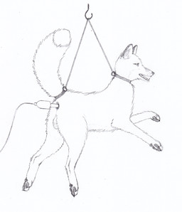 anal anthro asphyxiation bdsm bondage bound choking electrocution fur hanged killing male paws simple_background snuff solo strangling submissive submissive_male tail white_background abracon canid canine fox mammal 2010 archived_source unavailable_at_source