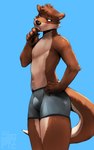 anthro blue_background blush bulge clothed clothing facial_hair male simple_background solo standing underwear underwear_only whiskers ze0metric echo_(game) echo_(series) echo_project chase_hunter mammal mustelid otter 5:8 hi_res