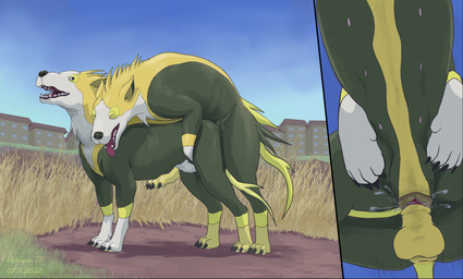 animal_genitalia animal_penis animal_vulva anus balls bodily_fluids bottom_view canine_genitalia canine_penis canine_vulva claws close-up cum cum_in_vagina cum_inside digitigrade duo eyes_closed fangs female female_penetrated feral feral_on_feral feral_penetrated feral_penetrating feral_penetrating_feral finger_claws from_behind_position fur genital_fluids genitals grass green_body intraspecies knotting looking_at_another looking_at_partner low-angle_view male male/female male_penetrating male_penetrating_female mating_grip mounting multi_nipple nipples open_mouth orgasm outside outside_sex penetration penis plant quadruped sex teeth thrusting toe_claws tongue tongue_out vaginal vaginal_knotting vaginal_penetration vulva white_body white_fur worm's-eye_view yellow_body yellow_fur pokegontc nintendo pokemon boltund canid canine generation_8_pokemon mammal pokemon_(species) 2022 absurd_res digital_media_(artwork) hi_res