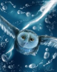ambiguous_gender avian barn_owl bird cool_colors feathered_wings feathers feral flying gabriellegrotte guardians_of_ga'hoole hi_res looking_at_viewer outside owl raining solo soren_(gogh) spread_wings tyto tytonid wings
