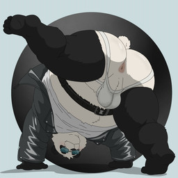 all_fours anthro anus belly belt belt_around_belly blush bulge butt clothing eyewear jacket jockstrap light looking_at_viewer male overweight overweight_male pantsless_male perineum pose presenting presenting_anus raised_leg rear_view snaggle_tooth solo sunglasses topwear underwear wearing_sunglasses bobbellyboy arknights arknights_endfield hypergryph studio_montagne da_pan_(arknights) bear giant_panda mammal 1:1 digital_media_(artwork) full-length_portrait hi_res lighting portrait