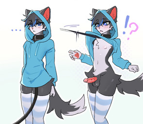 5_fingers anthro balls before_and_after black_collar black_leash blue_clothing blue_eyes blue_hoodie blue_topwear blush bottomless chest_tuft clothed clothing collar erection eyelashes femboy fingers fur genitals grey_body grey_fur hair hoodie leash leashed_collar male navel penile_spines penis shocked short_hair simple_background slim solo tail topwear tuft white_background mikosi domestic_cat felid feline felis mammal cel_shading colored digital_drawing_(artwork) digital_media_(artwork) shaded