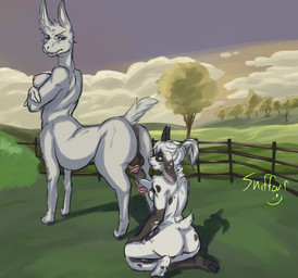 anthro antlers duo female feral fur genitals gynomorph horn intersex intersex/female penis penis_grab standing white_body white_fur sniffeur cherie_(sniffeur) mel_(foxa) camelid humanoid jackalope lagomorph llama mammal taur