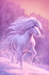 ambiguous_gender blue_eyes detailed_background eyelashes feral fur hooves mane orange_sky outside photorealism sky snout snow solo tail unguligrade walking white_body white_fur white_mane white_tail johis moonlight_riders equid equine horse mammal 2021 adobe_photoshop_(artwork) book_cover cover digital_media_(artwork) digital_painting_(artwork) hi_res official_art purple_theme shaded