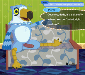 anthro balls beak blue_body blue_feathers bodily_fluids dialogue dialogue_box erection feathers feet foreskin furniture genital_fluids genitals humanoid_genitalia humanoid_penis inside looking_at_viewer lounging male nude open_mouth penis precum sitting sofa solo solo_focus speech_bubble sweat talking_to_viewer talons text toes vein veiny_penis dragokiro animal_crossing nintendo pierce_(animal_crossing) accipitrid accipitriform avian bird eagle english_text hi_res signature