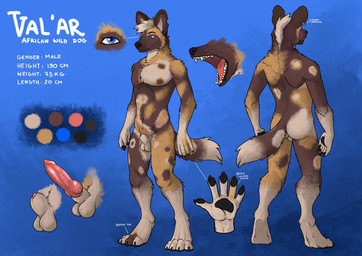 animal_genitalia animal_penis anthro balls black_pawpads blue_eyes brown_body brown_fur butt canine_genitalia canine_penis color_swatch ear_piercing ear_ring erection fangs fingerpads front_view fur genitals glistening glistening_eyes hair knot male male_anthro mouth_closed navel notched_ear nude open_mouth pawpads penis penis_tip piercing pink_penis rear_view ring_piercing short_hair slim_anthro slim_male solo standing tan_body tan_fur teeth whiskers hufnaar walar african_wild_dog canid canine mammal absurd_res hi_res model_sheet