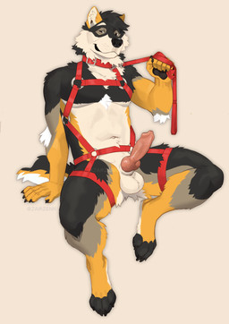 animal_genitalia animal_penis anthro balls canine_genitalia canine_penis collar erection front_view genitals harness knot leash leash_pull leashed_collar male male_anthro navel nude penis red_harness sheath simple_background sitting solo spread_legs spreading jamzenn rex_(rexsky) canid canine canis domestic_dog mammal 2024 hi_res