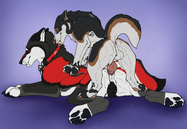 anal anal_penetration animal_genitalia animal_penis animal_vulva balls black_claws black_pawpads black_tail black_vulva blue_eyes brown_markings brown_tail canine_genitalia canine_penis canine_vulva claws duo erection eyes_closed fangs female female_feral female_penetrated feral feral_on_feral feral_penetrated feral_penetrating feral_penetrating_feral from_behind_position fur genitals grey_body grey_fur intraspecies knot knot_root knotted_penis larger_female larger_feral larger_penetrated lying male male/female male_feral male_penetrating male_penetrating_female markings mouth_closed on_front pawpads penetration penile penile_penetration penis penis_in_ass sex sheath side_view size_difference smaller_feral smaller_male tail teeth vulva white_balls white_body white_fur white_sheath white_tail killthe_demon nava_(nava) yipsky canid canine mammal hi_res